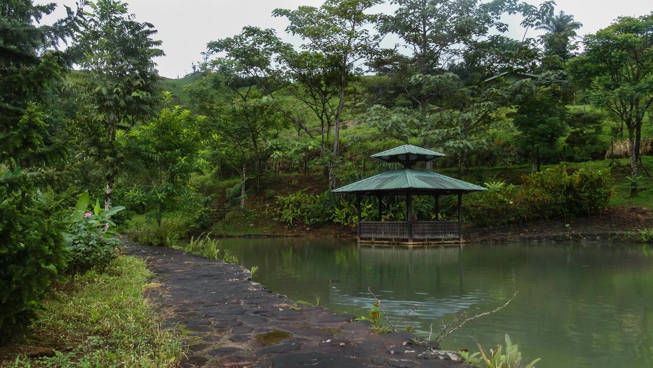 Malekus Mountain Hotel